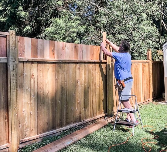 stain your fence houston